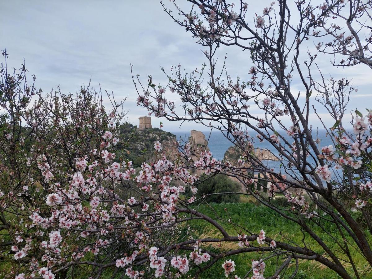 Vila Piccola Baia Scopello  Exteriér fotografie